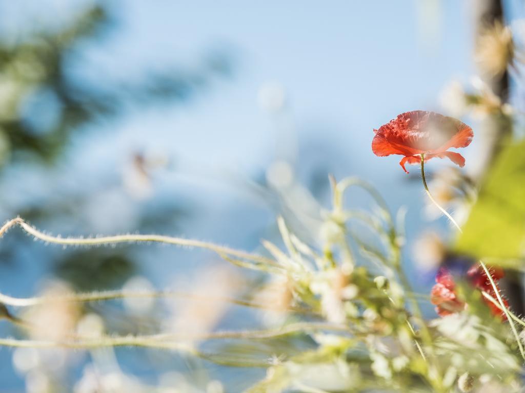 Ferienwohnung Martin Zellberg エクステリア 写真